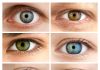 How is Eye Color Determined? & Facts About Eye Color how is eye color determined