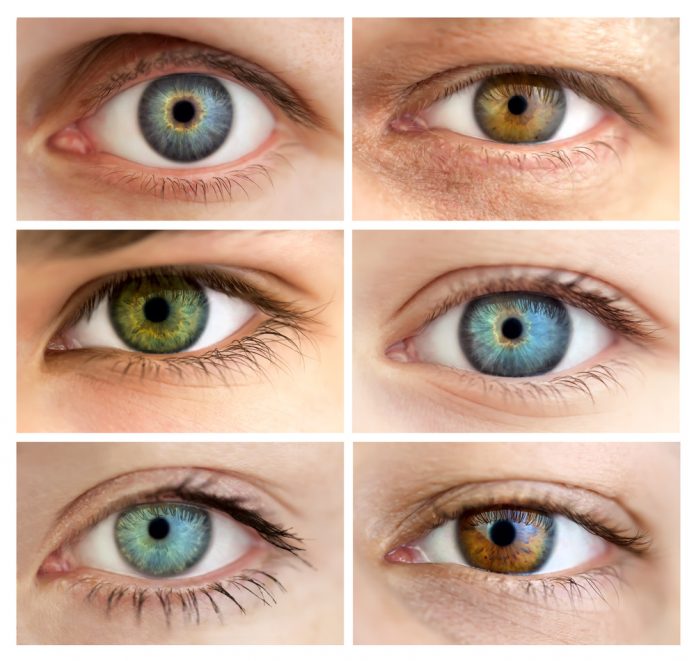how is eye color determined