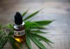 Quick Guide to Buying the Right CBD Oil Right CBD Oil