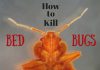 Home Remedies for Bed Bugs- Simple and Easy Treatment Methods Home remedies for bed bugs