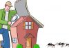 Why have building and pest inspection when buying a house? pest inspection when buying a house