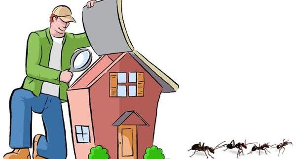 pest inspection when buying a house
