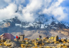 Why Climbing Mount Kilimanjaro Is The New Travel Trend Of 2020/2021? Climbing Mount Kilimanjaro