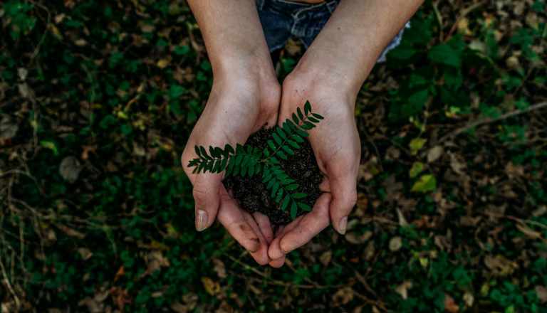 7 Ways to Give Back to the Earth