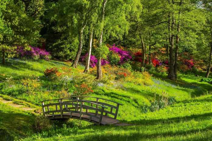 Health Perks More Parks