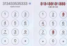 How Many 3s in The Image- Correct Answer and More Amazing Puzzles how many 3s in the image