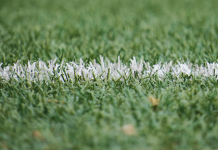 Benefits of Synthetic Grass – Consider Artificial Turf Installation
