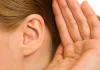 What are the main causes of hearing loss? What are the main causes of hearing loss?