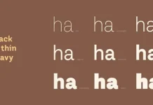 The Strategic Value of Purchasing Fonts