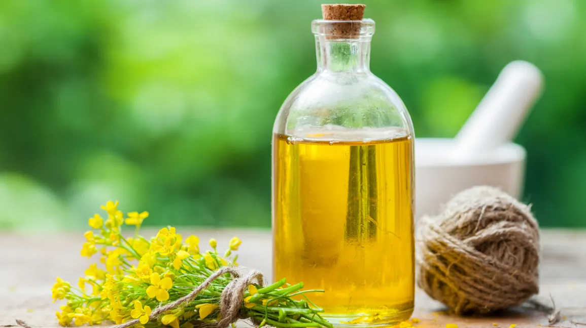 sesame oil substitute - canola oil